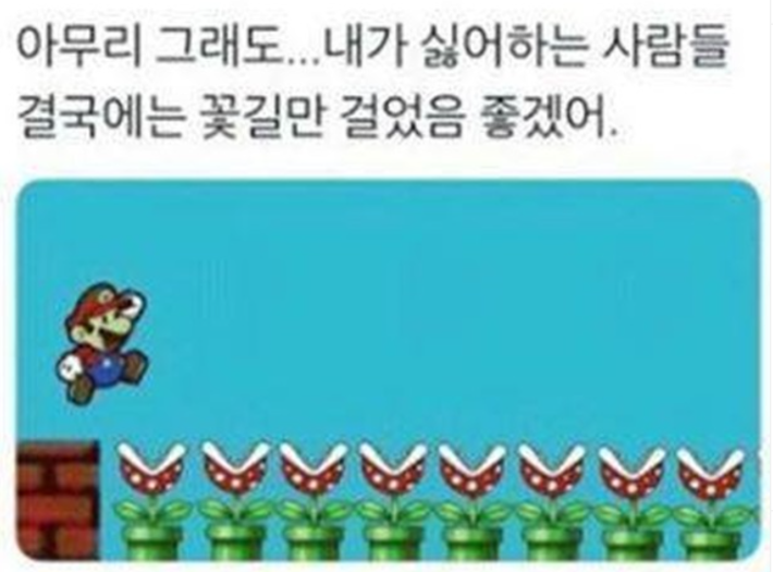 내가 싫어하는 사람들 꽃길만 걸었으면